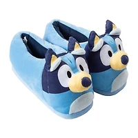 Standard 3D Slippers