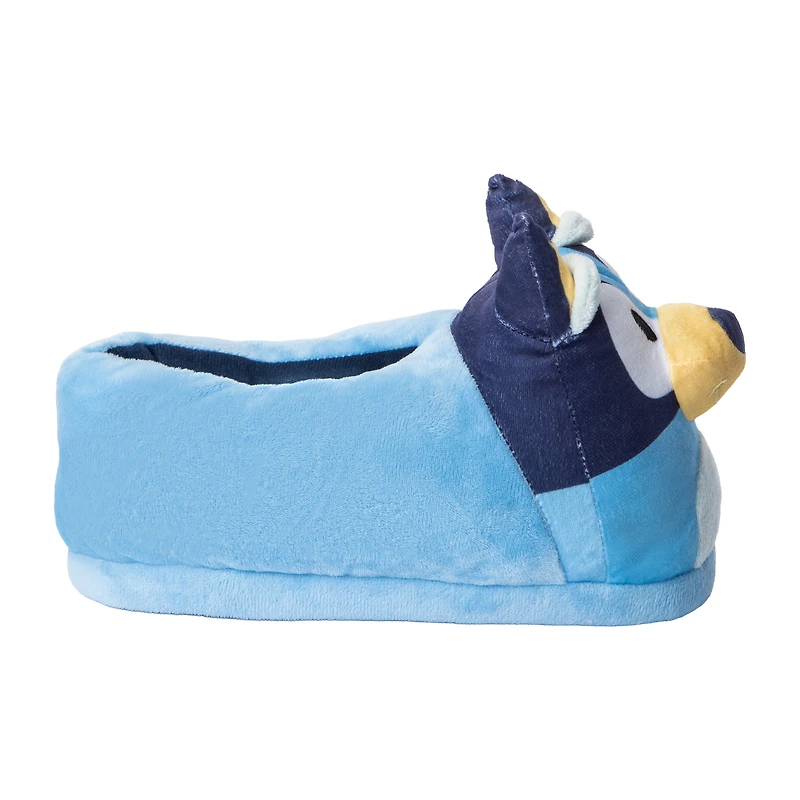 Standard 3D Slippers