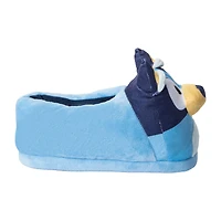 Standard 3D Slippers