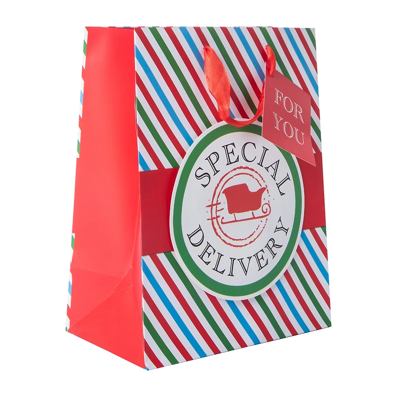 Christmas Special Delivery Gift Bag