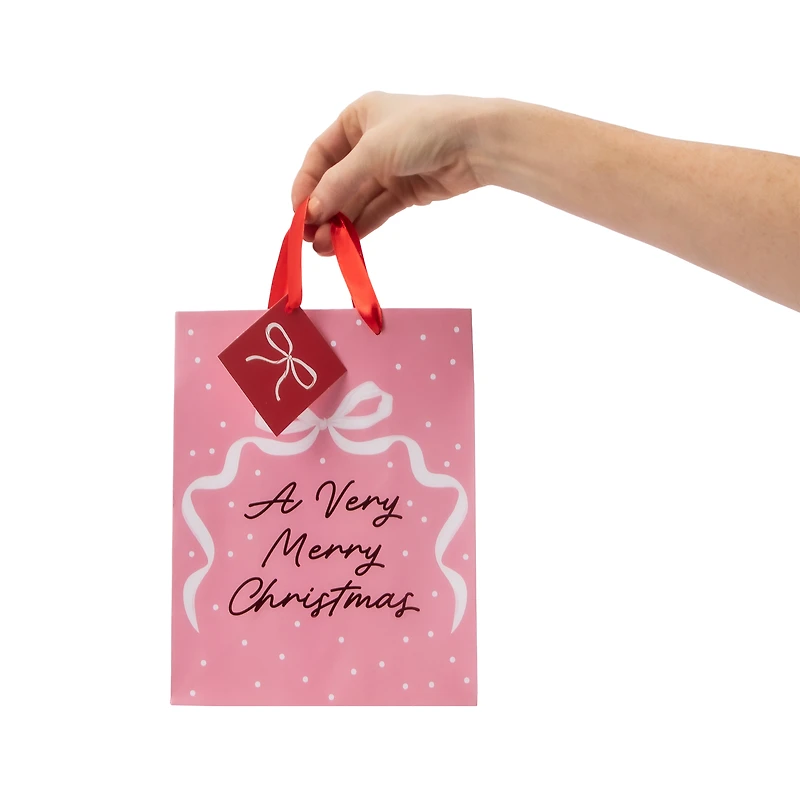 Merry Christmas Gift Bag