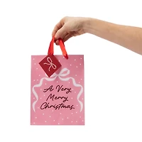 Merry Christmas Gift Bag