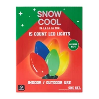 Christmas LED Lights 15-Count