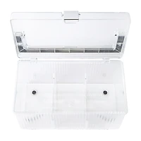 Urban Butterfly Beauty Organizer