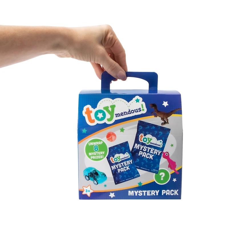 Toymendous! Mystery Pack Box