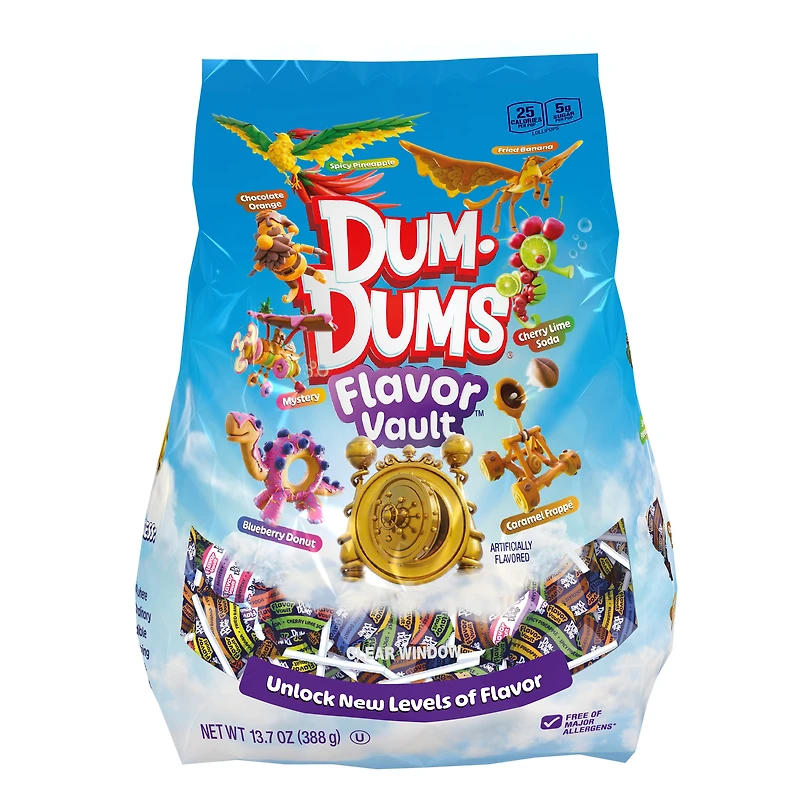 Dum-Dums® Flavor Vault™ Lollipops 13.7oz