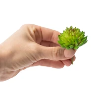 Crayola Signature™ Make Your Own Hanging Planters