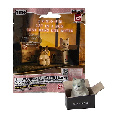 Cat In A Box (Styles May Vary)