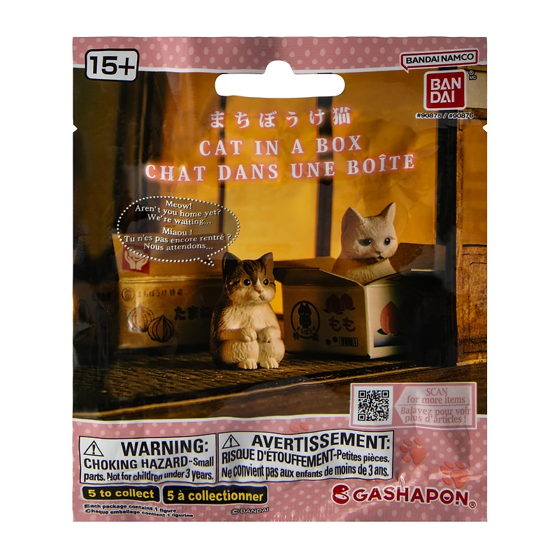 Cat In A Box (Styles May Vary)