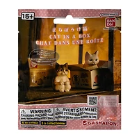 Cat In A Box (Styles May Vary)