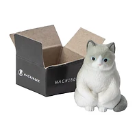 Cat In A Box (Styles May Vary)