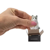 Cat In A Box (Styles May Vary)