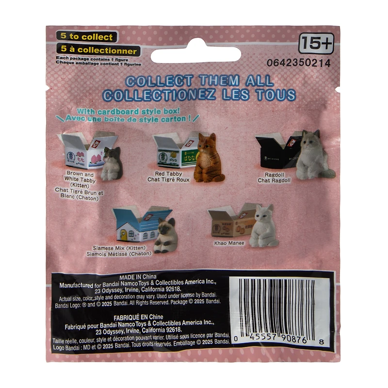 Cat In A Box (Styles May Vary)