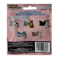 Cat In A Box (Styles May Vary)