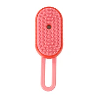 Pawsitively Fun! Massage Brush With Mist