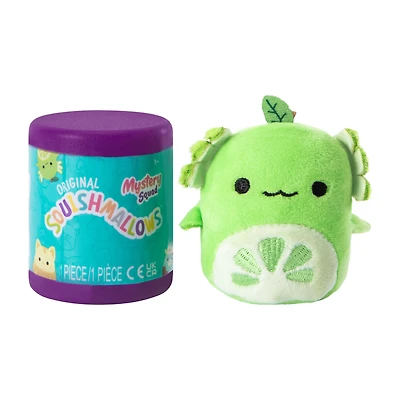 Squishmallows™ Mystery Squad Toy (Styles May Vary)