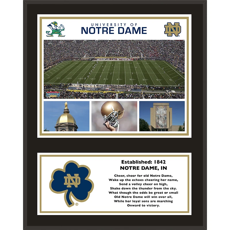 Notre Dame Fighting Irish 12'' x 15'' Sublimated Team Plaque