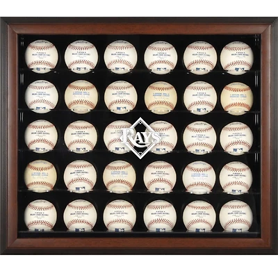 Tampa Bay Rays Logo Brown Framed 30-Ball Display Case