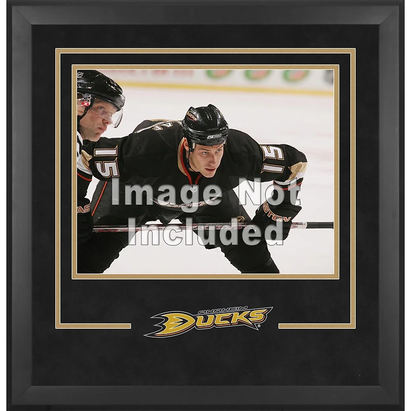 Anaheim Ducks Deluxe 16" x 20" Horizontal Photograph Frame