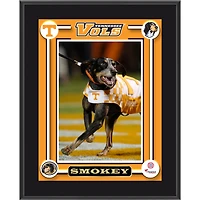 Tennessee Volunteers Smokey Dog Mascot 10.5'' x 13'' Sublimated Plaque