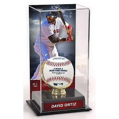 David Ortiz Boston Red Sox Gold Glove Display Case with Image