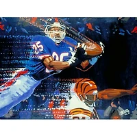NY Giants Deacon Jones Foundation "The Interception" Fine Art Canvas Print 24" x 36" by Artist Edgar Brown