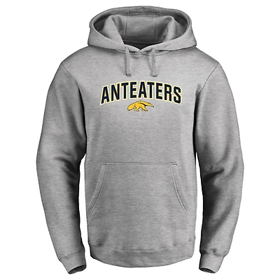Men's Ash UC Irvine Anteaters Proud Mascot Pullover Hoodie