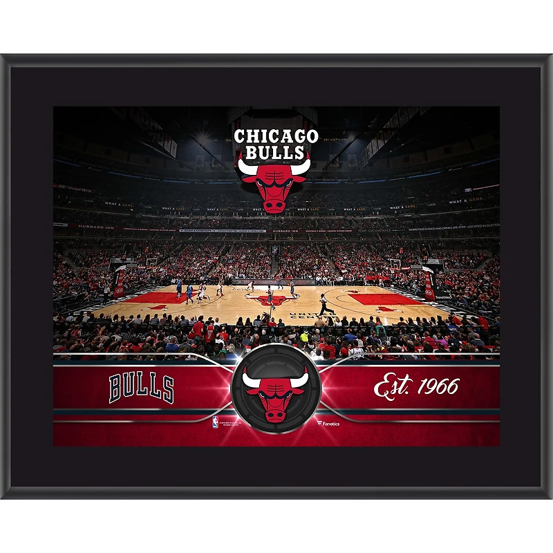 Chicago Bulls 10.5" x 13" Sublimated Team Plaque