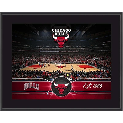 Chicago Bulls 10.5" x 13" Sublimated Team Plaque