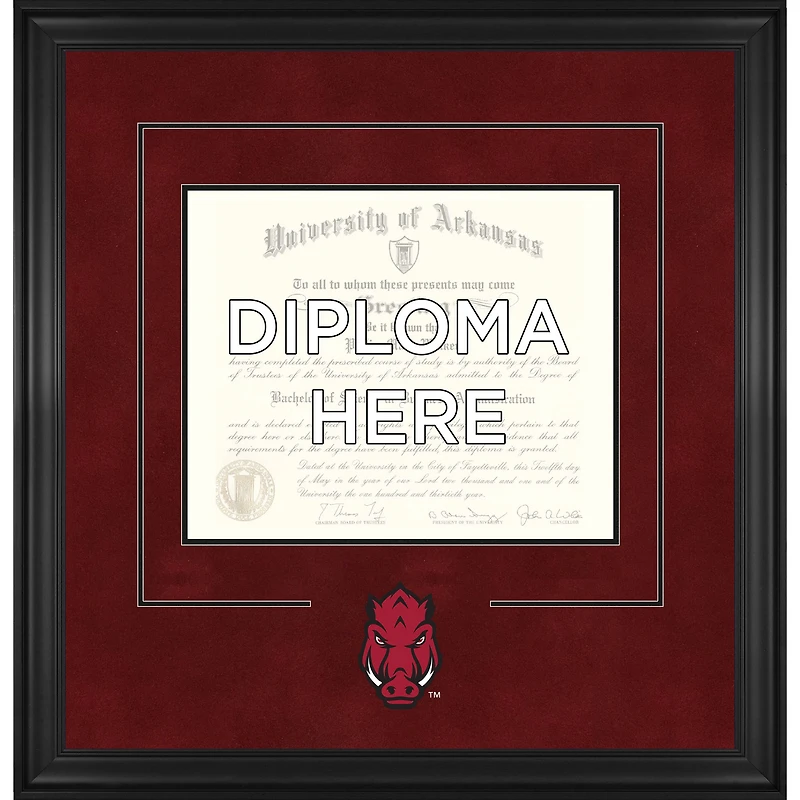 Arkansas Razorbacks Deluxe 11" x 14" Diploma Frame with Team Logo