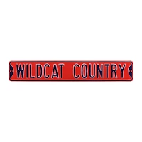 Red Arizona Wildcats 6" x 36" College Ave Street Sign
