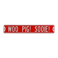 Cardinal Arkansas Razorbacks 6" x 36" College Ave Team Street Sign
