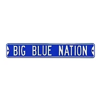 Blue Kentucky Wildcats 6" x 36" College Ave Embossed Street Sign