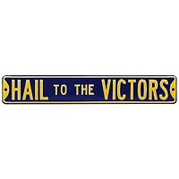 Navy Michigan Wolverines 6" x 36" College Ave Street Sign
