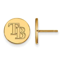 Women's Tampa Bay Rays Gold-Plated Small Post Earrings