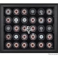 Florida Panthers (1993-2016) 30-Puck Black Display Case