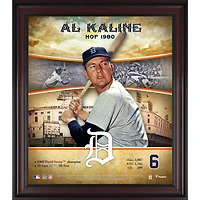 Al Kaline Detroit Tigers Framed 15" x 17" Hall of Fame Career Profile