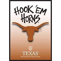 Texas Longhorns 28" x 40" Double-Sided House Flag
