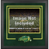 North Dakota State Bison Deluxe 16'' x 20'' Horizontal Photograph Frame with Team Logo