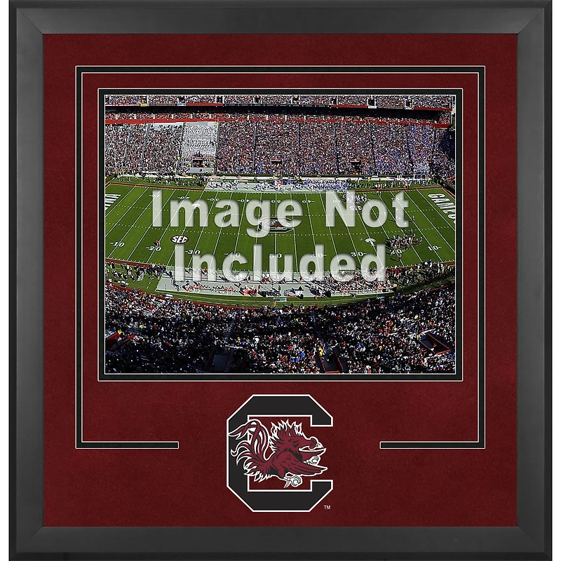 South Carolina Gamecocks Deluxe 16'' x 20'' Horizontal Photograph Frame with Team Logo