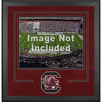 South Carolina Gamecocks Deluxe 16'' x 20'' Horizontal Photograph Frame with Team Logo