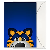 Buffalo Sabres 5'' x 7'' 12-Count Mascot Greeting Card Set