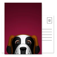 Colorado Avalanche 5-Count Mascot Postcard Set