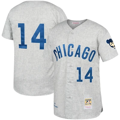 Men's Mitchell & Ness Ernie Banks Gray Chicago Cubs Away 1969 Authentic Jersey