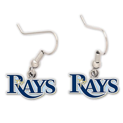 Women's WinCraft Tampa Bay Rays Wire Earrings