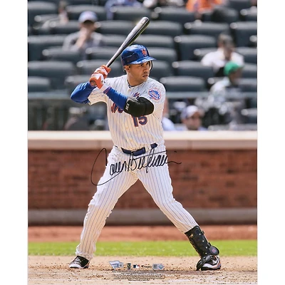 Carlos Beltran New York Mets Autographed 16" x 20" Hitting Photograph