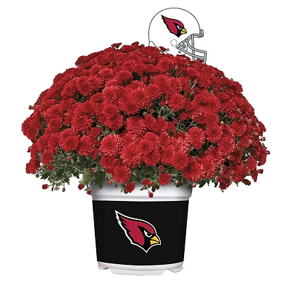 Arizona Cardinals Team Color Mum