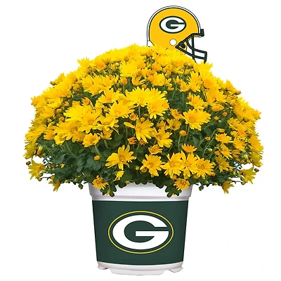 Green Bay Packers Team Color Mum
