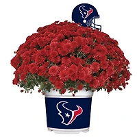 Houston Texans Team Color Mum