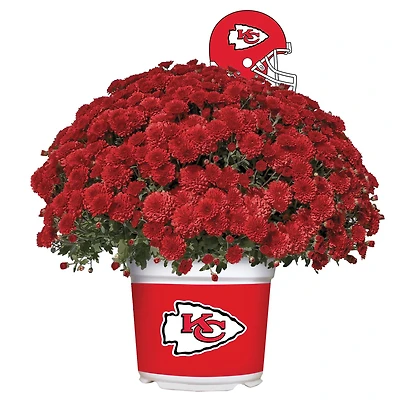 Kansas City Chiefs Team Color Mum